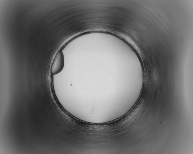 X0000096140951200802151332