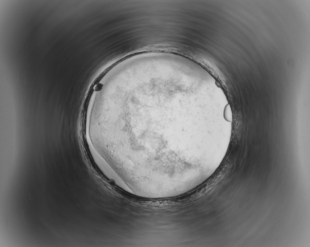 X0000096140952200802151332