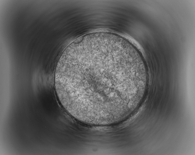 X0000096140953200802151332