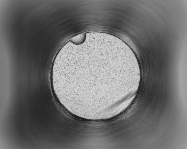 X0000096140954200802151332