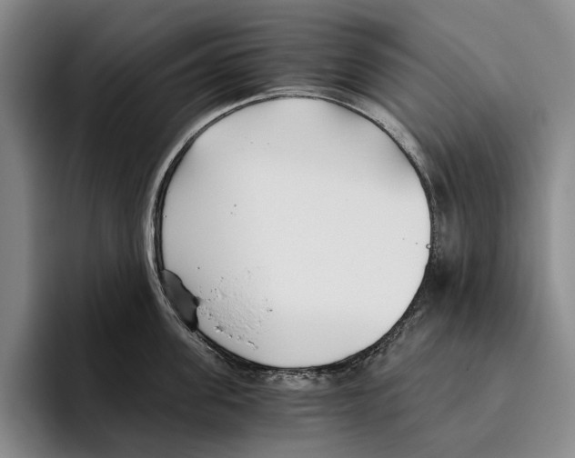X0000096140955200802151332