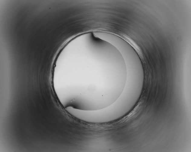 X0000096140956200802151332
