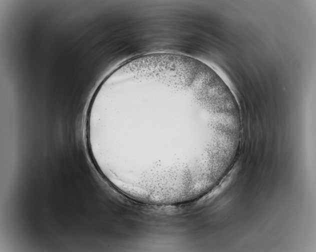 X0000096140957200802151332