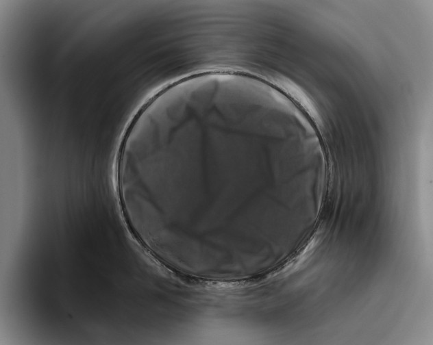 X0000096140958200802151332