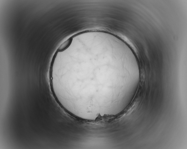 X0000096140959200802151332