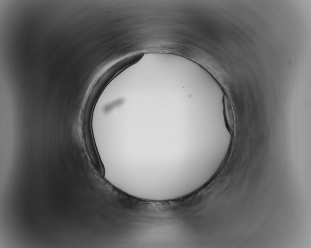 X0000096140960200802151332