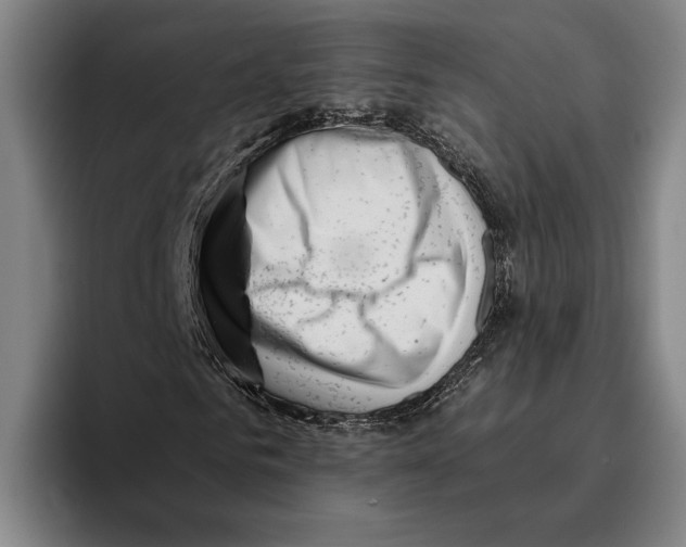 X0000096140961200802151331