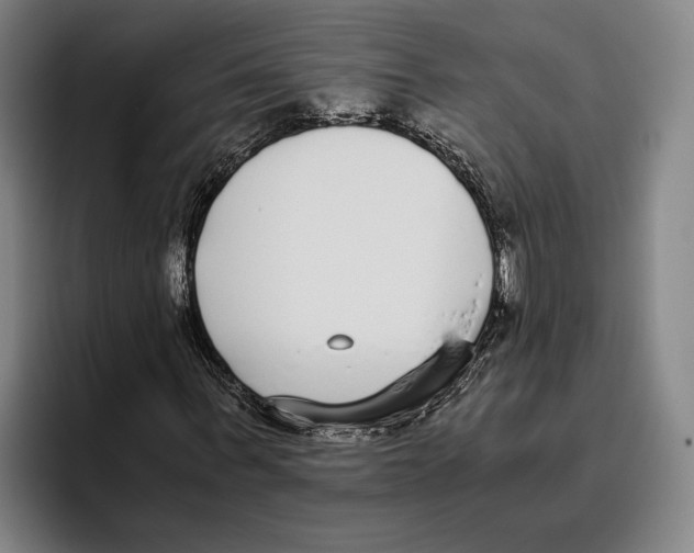 X0000096140963200802151331