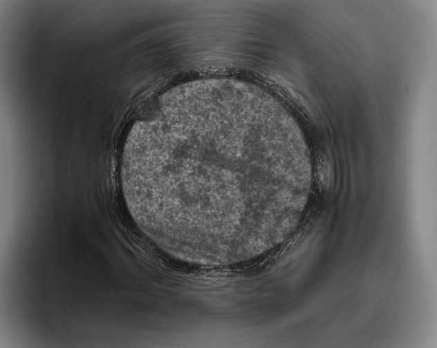X0000096140964200802151331