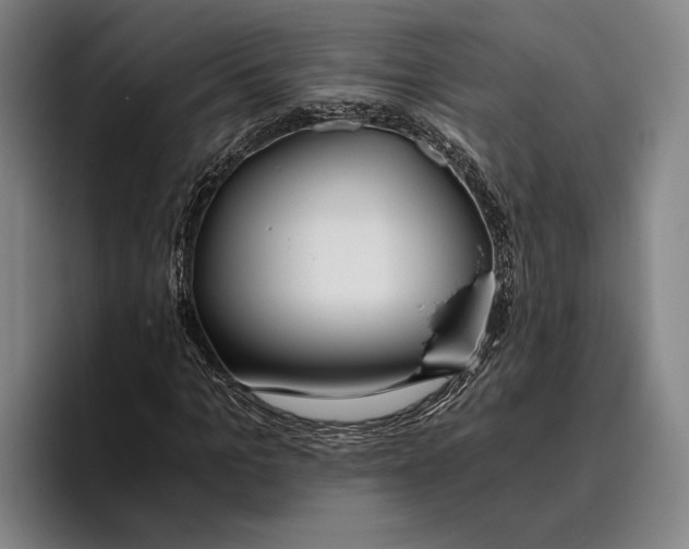X0000096140965200802151331