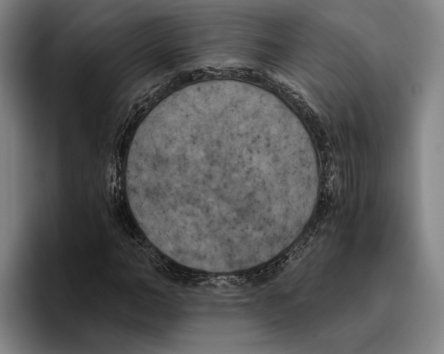 X0000096140966200802151331