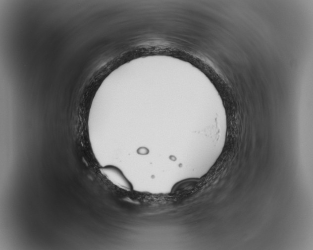 X0000096140967200802151331