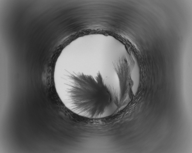 X0000096140968200802151331