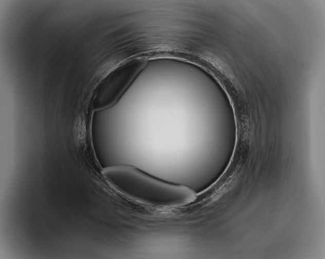 X0000096140969200802151331