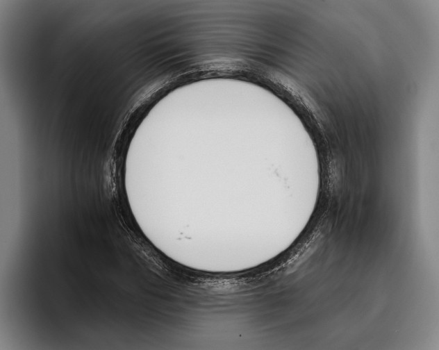 X0000096140970200802151331