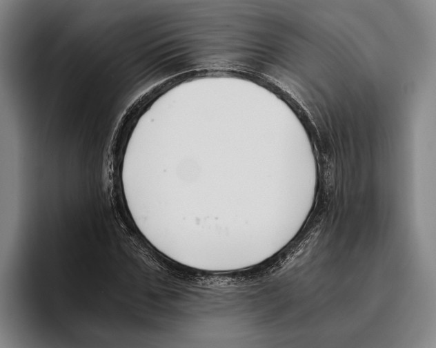 X0000096140971200802151331