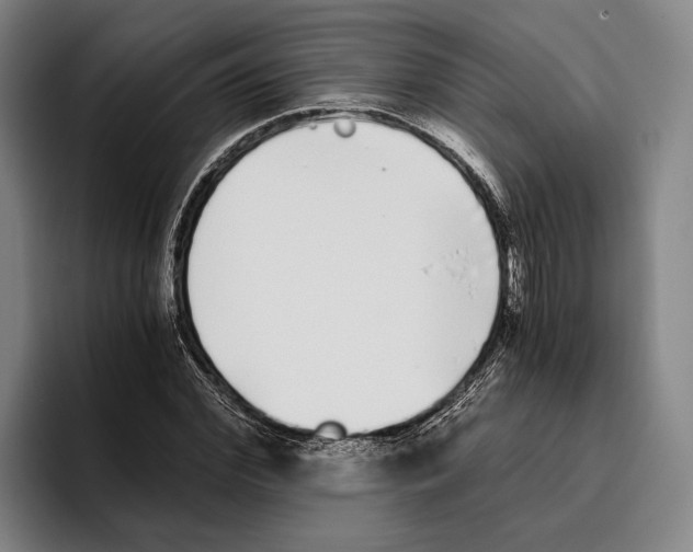 X0000096140972200802151331