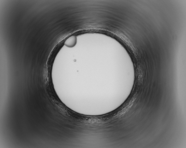 X0000096140974200802151331