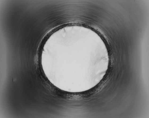 X0000096140975200802151331