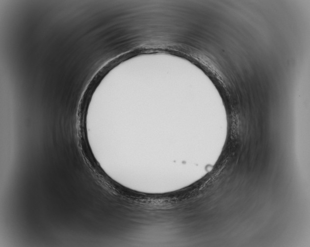 X0000096140976200802151331
