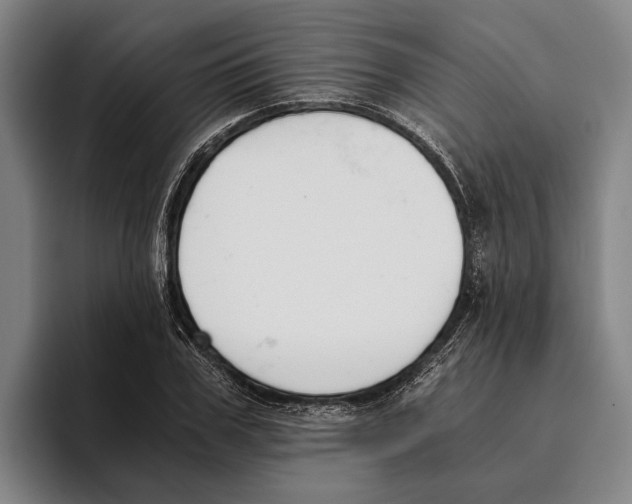 X0000096140979200802151331