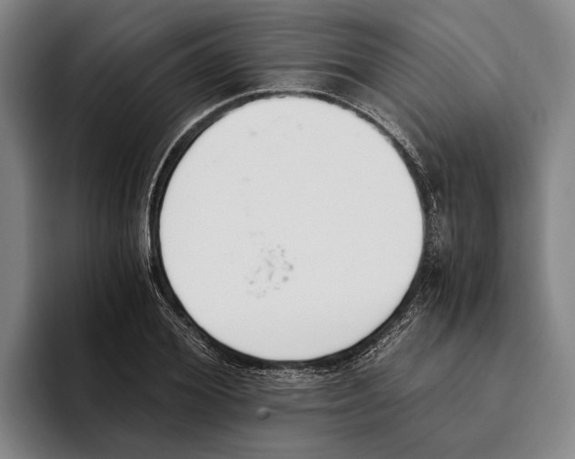 X0000096140980200802151331