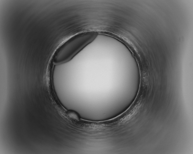 X0000096140981200802151331