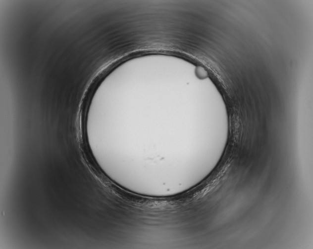 X0000096140982200802151331