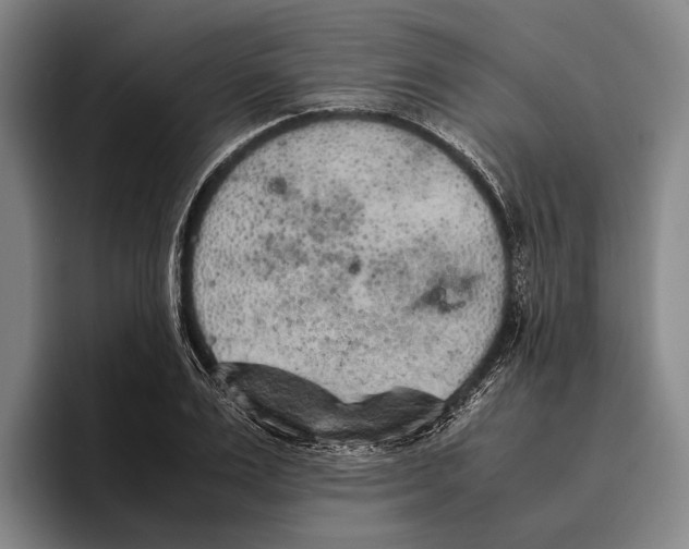 X0000096140983200802151331