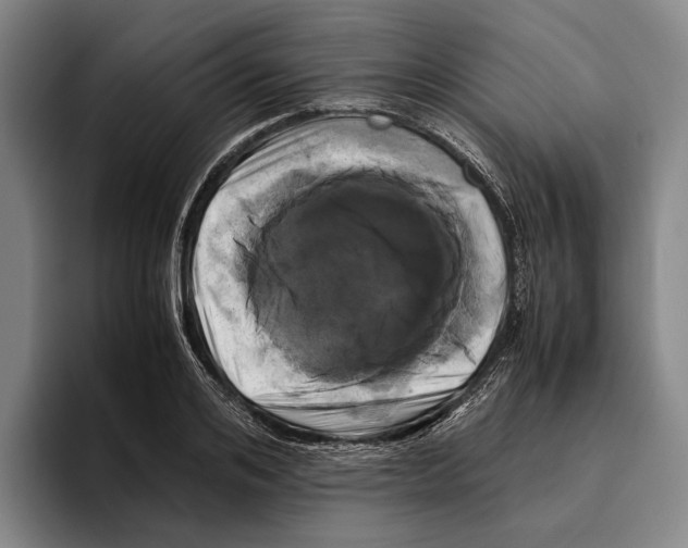 X0000096140984200802151331