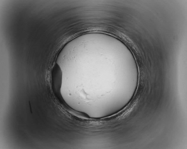 X0000096140985200802151331
