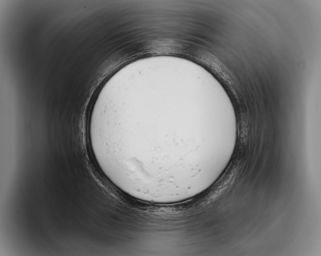 X0000096140986200802151331