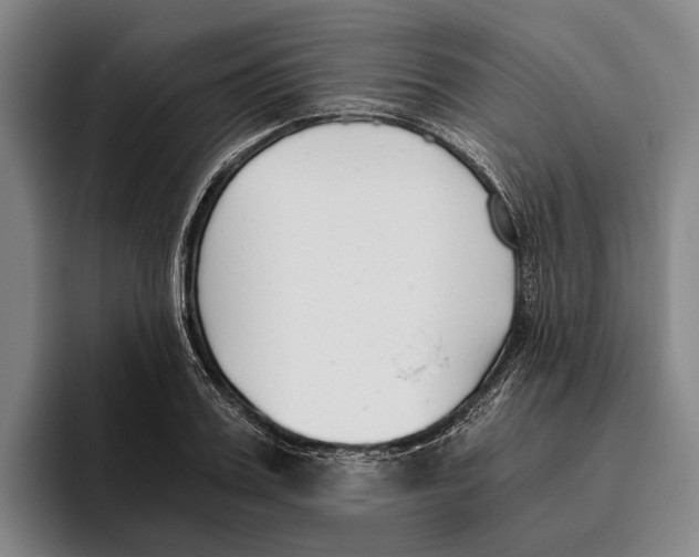 X0000096140987200802151331
