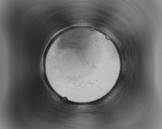 X0000096140988200802151331