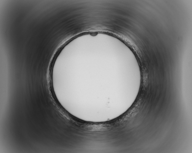 X0000096140990200802151331