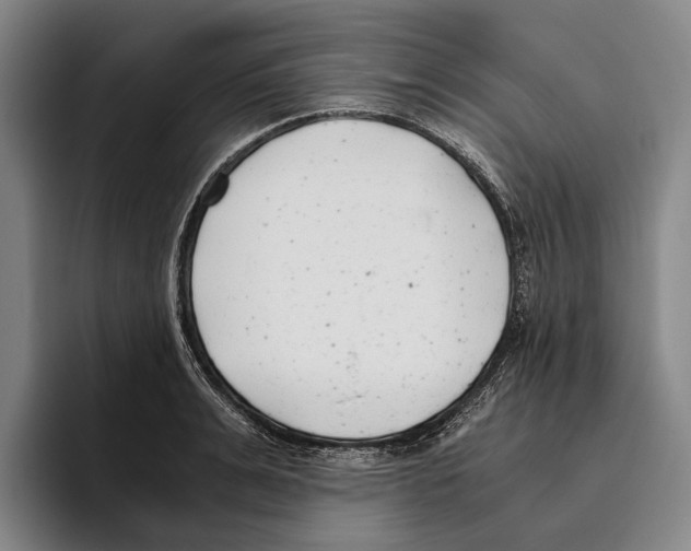 X0000096140991200802151331