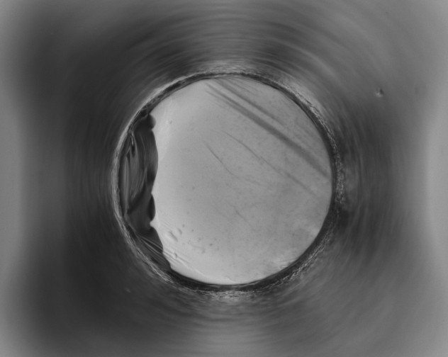 X0000096140992200802151331