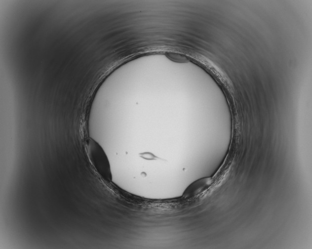 X0000096140993200802151331