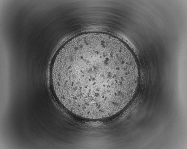 X0000096140994200802151331