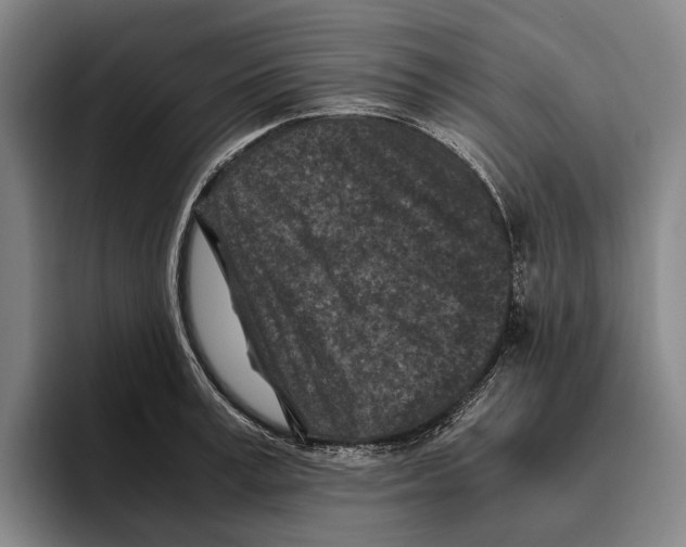 X0000096140995200802151331
