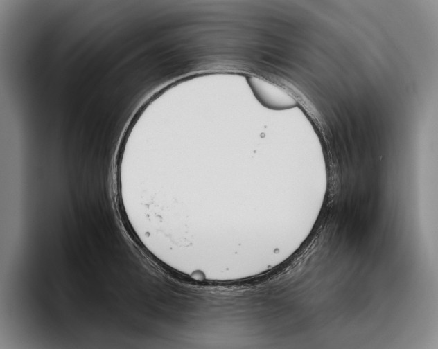 X0000096140996200802151331