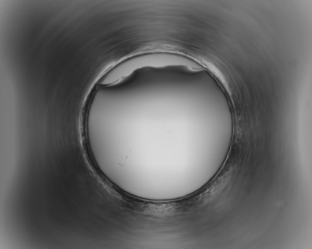 X0000096140997200802151331