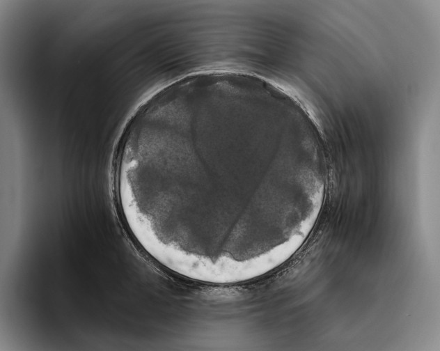 X0000096140998200802151331