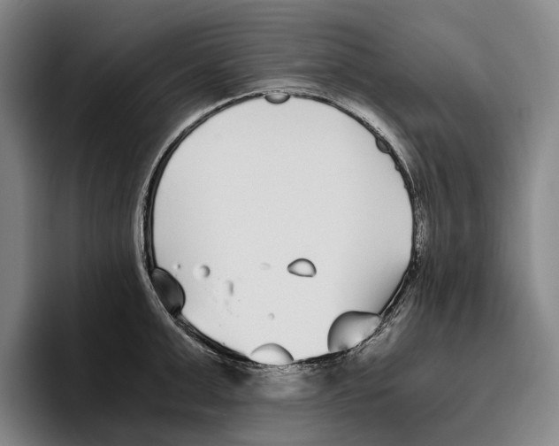 X0000096140999200802151331