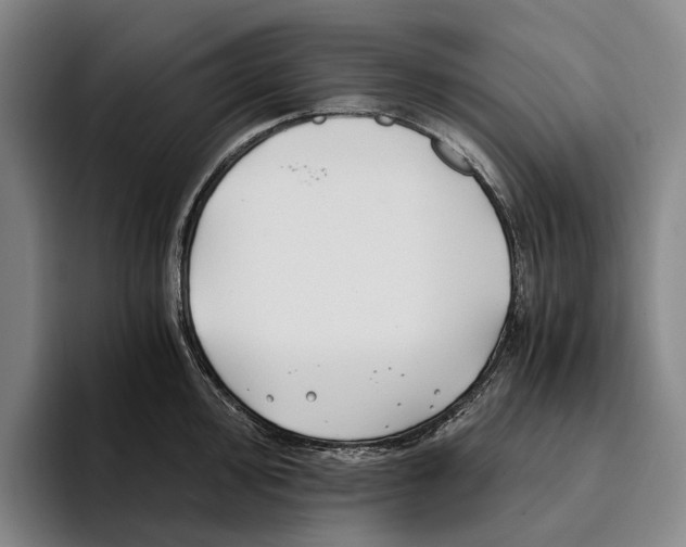 X0000096141000200802151330