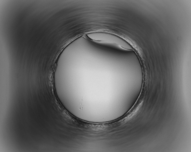 X0000096141001200802151330