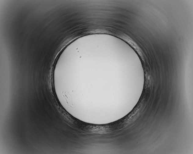 X0000096141002200802151330