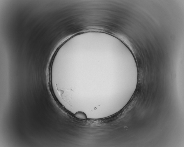 X0000096141003200802151330