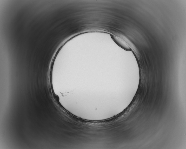 X0000096141004200802151330