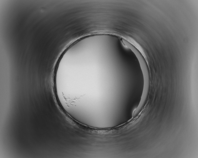 X0000096141005200802151330